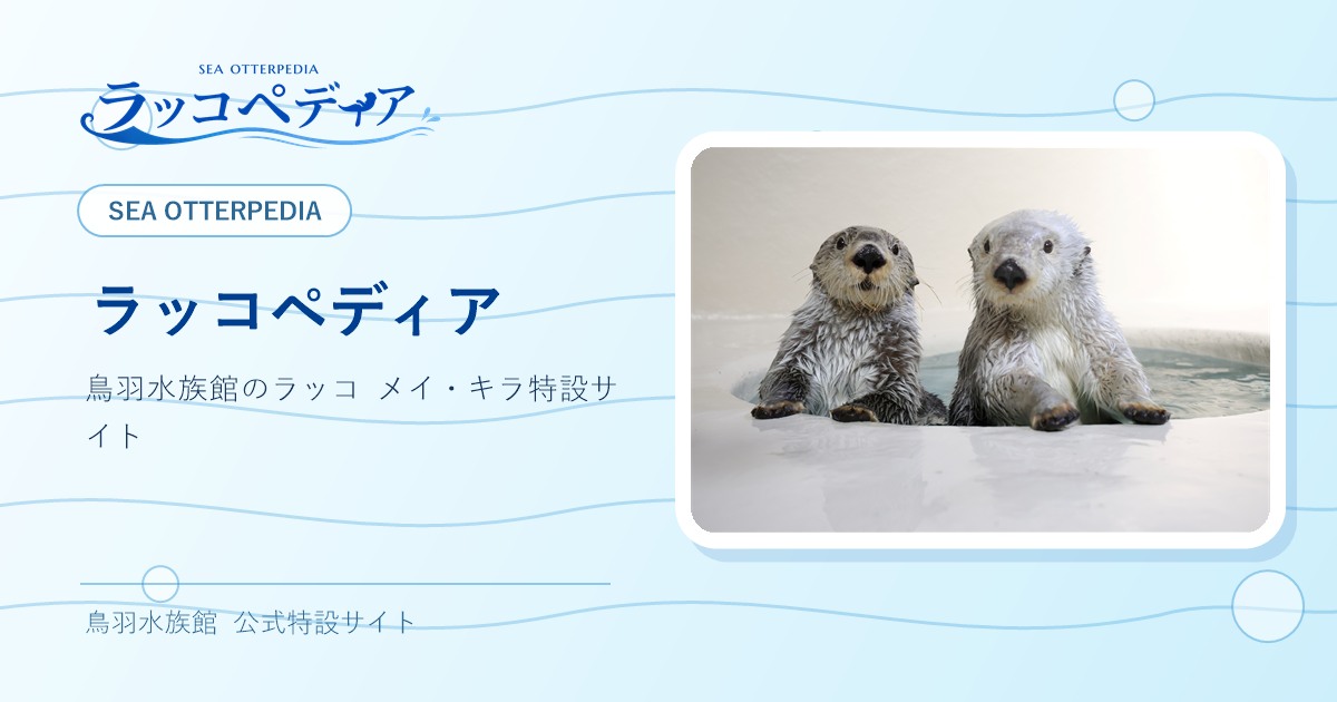 ラッコペディア｜鳥羽水族館のラッコ メイ・キラ特設サイト