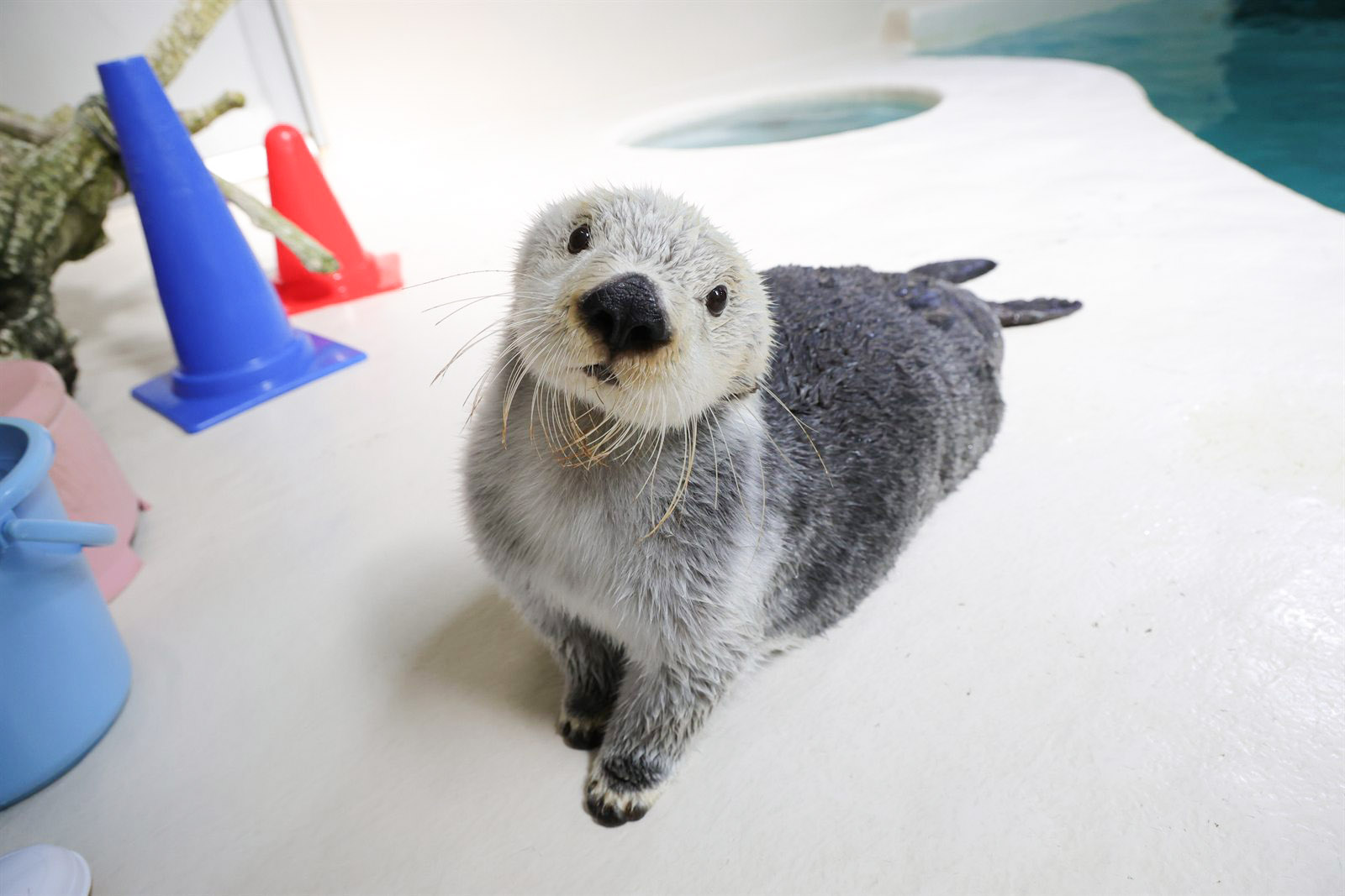 キラの全身が見えるプロフィール写真
