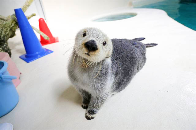 キラの全身が見えるプロフィール写真