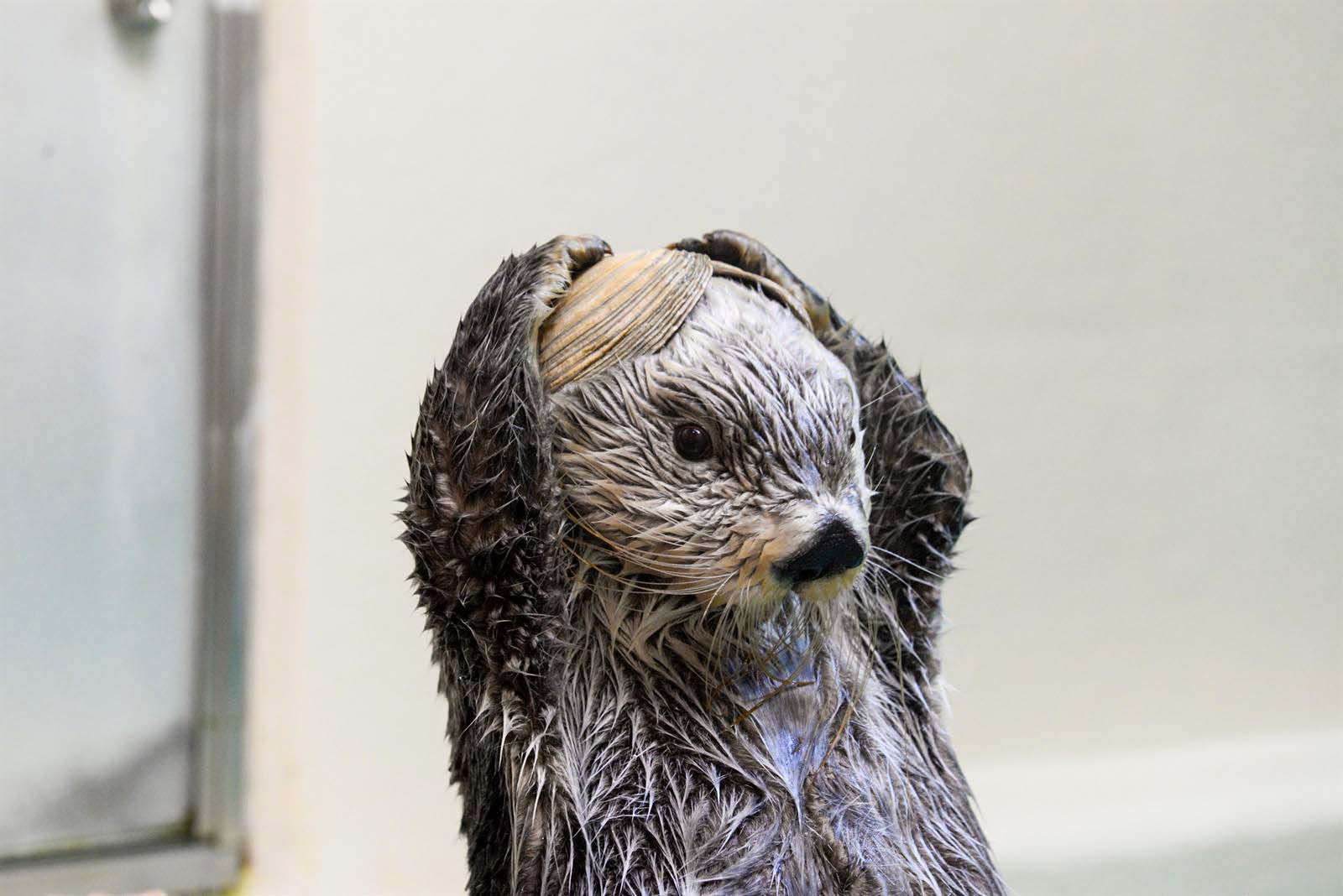 キラの横顔がわかる写真