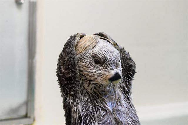 キラの横顔がわかる写真