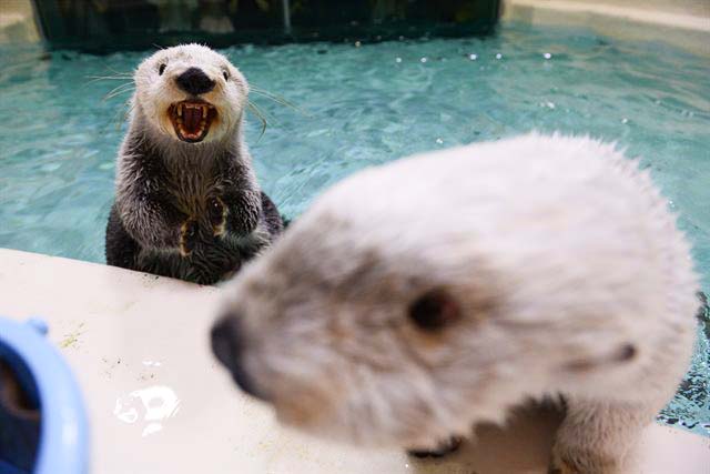 キラとメイが同じ画面に写る写真