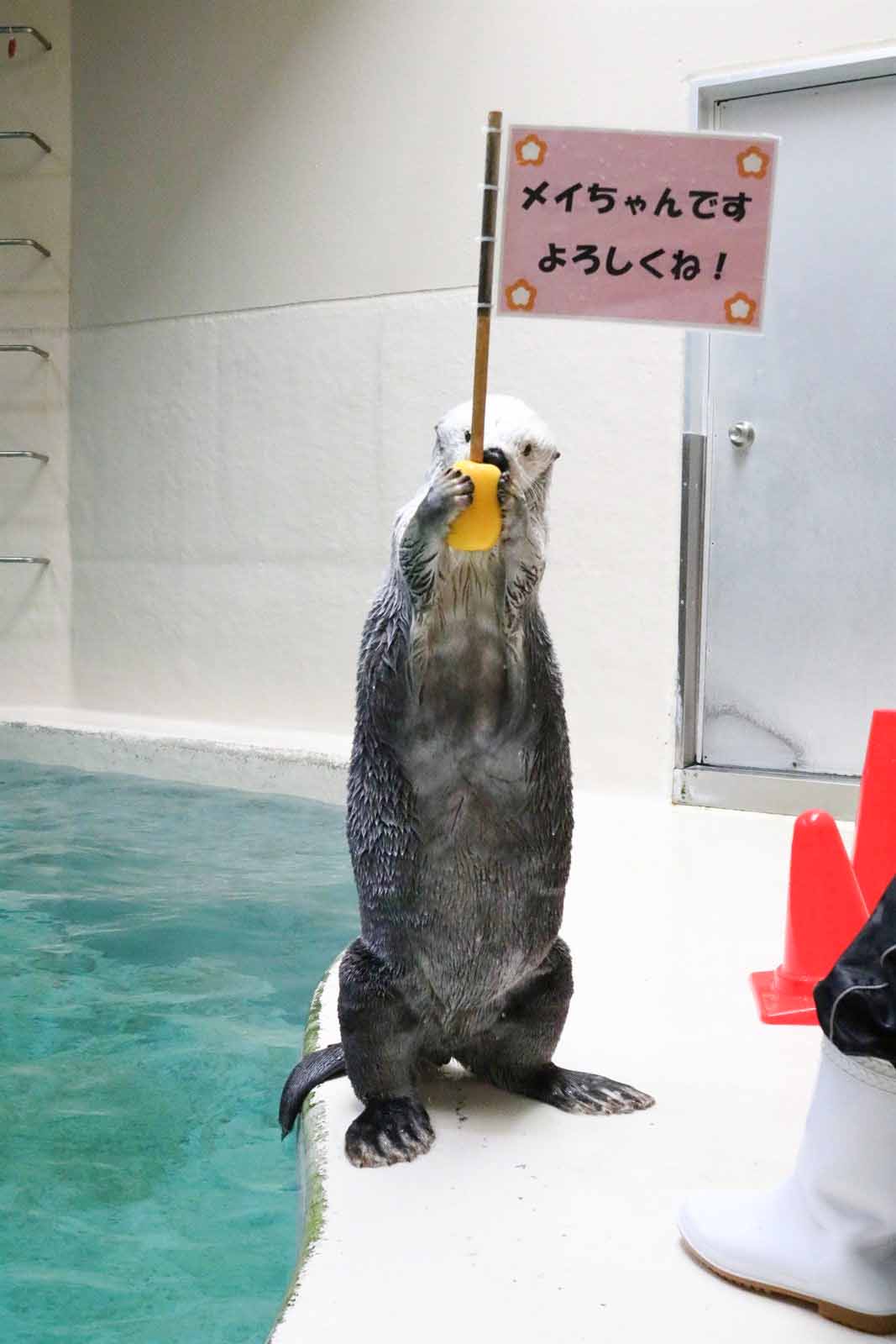 メイがトレーニングに取り組む様子