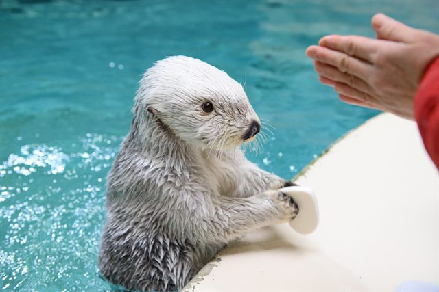メイの横顔がわかる写真