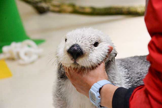 メイの表情がわかる写真