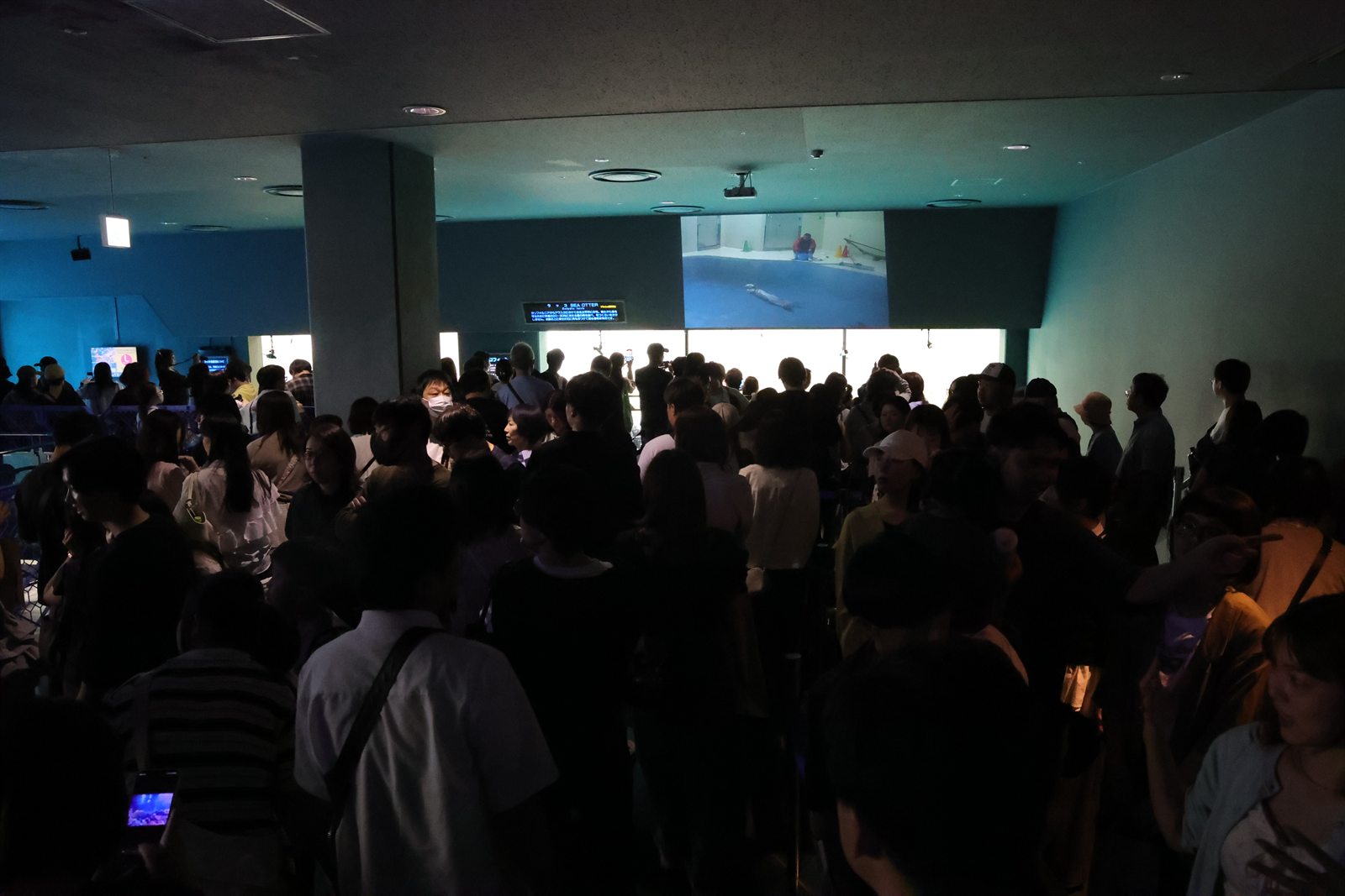 第二次ラッコブーム当時の来館者の様子
