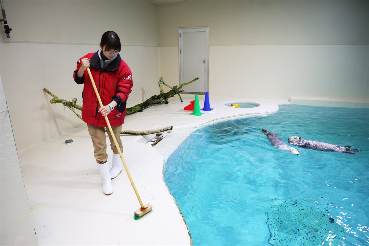飼育係がプールまわりを掃除している様子