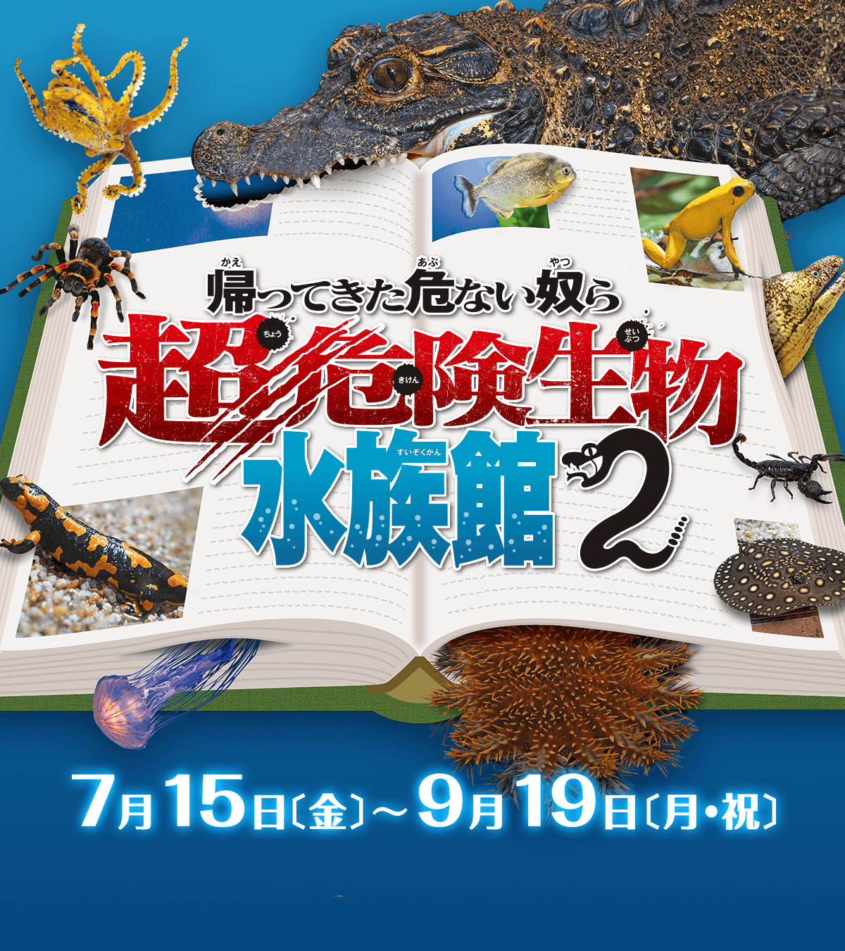 鳥羽水族館 公式サイト 鳥羽水族館 公式サイト