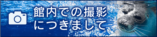 館内での撮影につきまして