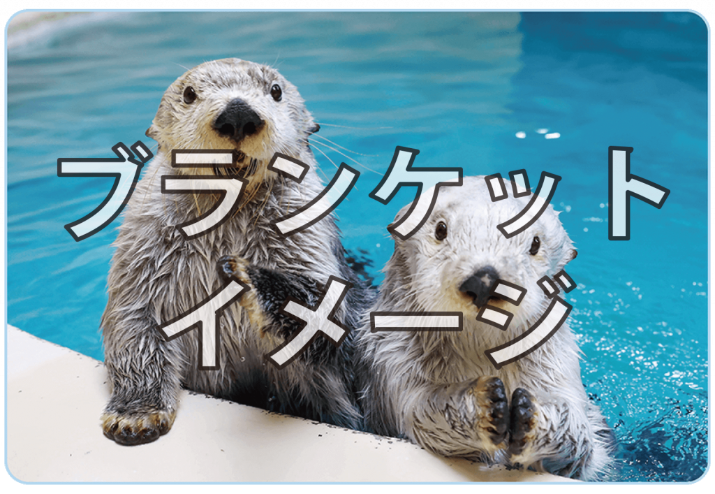 高知インター店 鳥羽水族館 ラッコのメイとキラ 写真集 オンライン 
